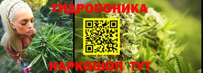 наркотики Камышлов