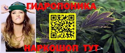 наркотики Камышлов